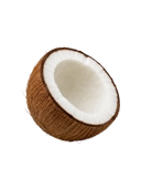 Coconut